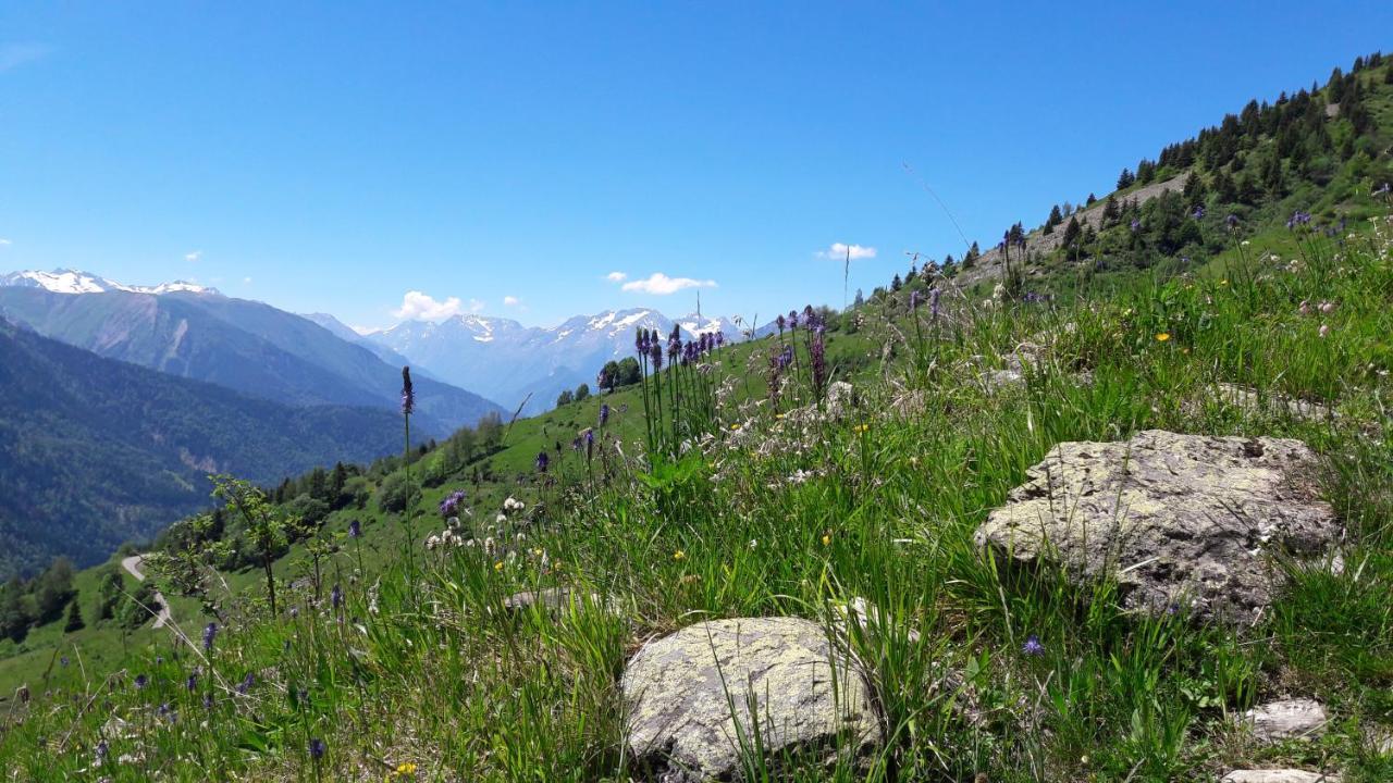 Chalet Solneige Vaujany Eksteriør bilde